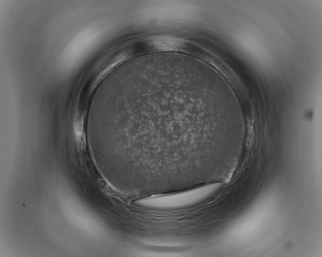 X0000091211198200708161536