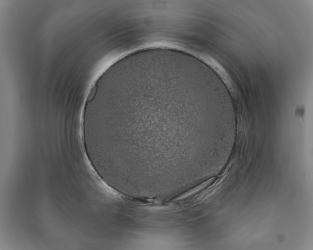 X0000091211199200708161536