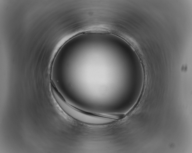 X0000091211200200708161536