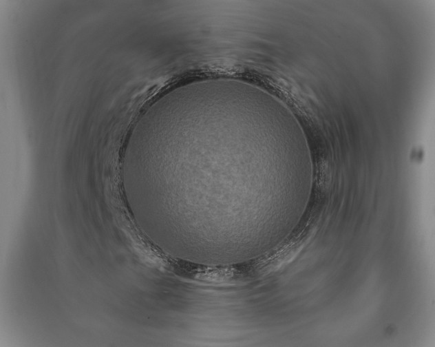 X0000091211201200708161535