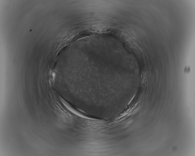 X0000091211202200708161535