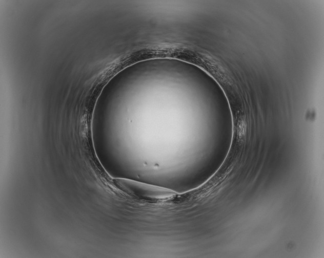 X0000091211204200708161535