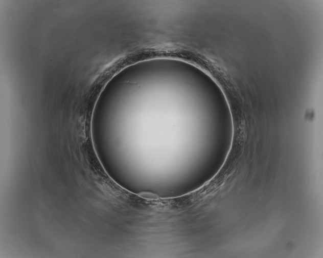 X0000091211205200708161535