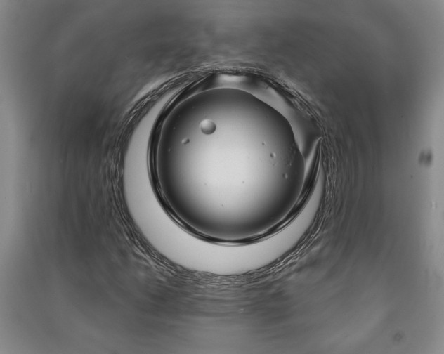 X0000091211206200708161535