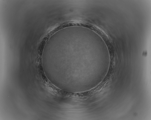X0000091211207200708161535