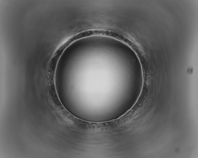 X0000091211208200708161535
