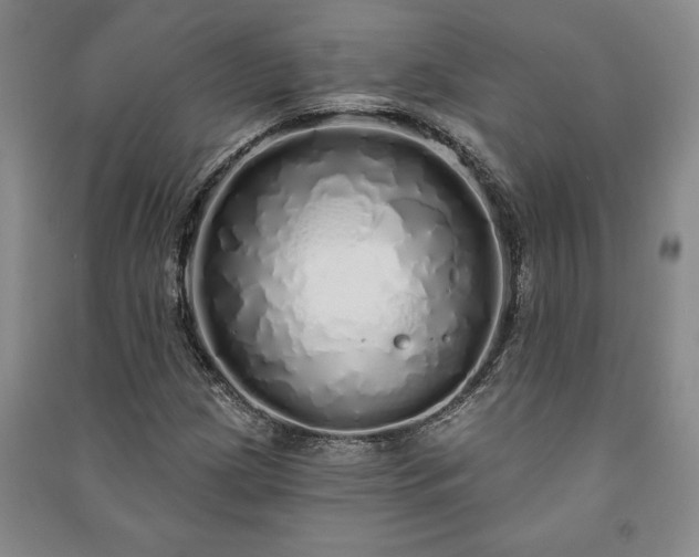 X0000091211209200708161535