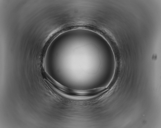 X0000091211210200708161535