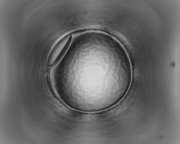 X0000091211212200708161535