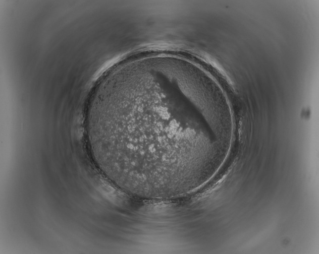 X0000091211213200708161536