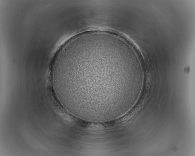 X0000091211215200708161536