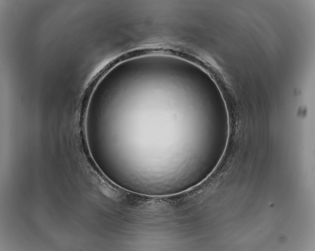 X0000091211216200708161536
