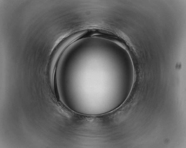 X0000091211218200708161536