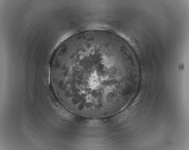 X0000091211219200708161536