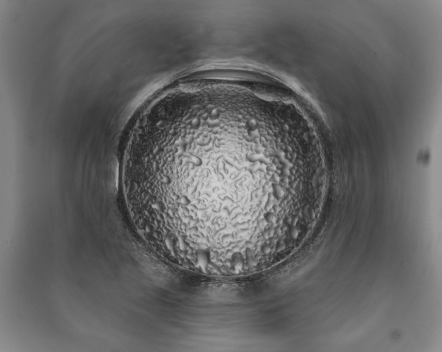 X0000091211221200708161536