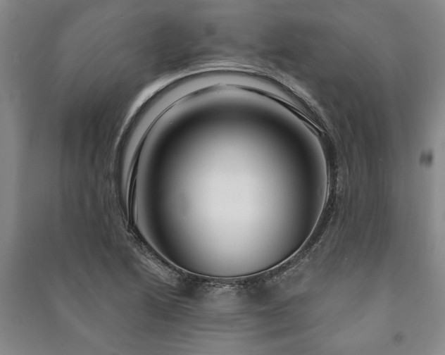 X0000091211222200708161536