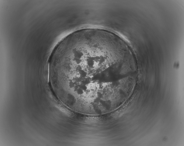 X0000091211223200708161536