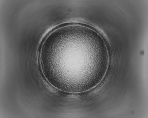 X0000091211224200708161536