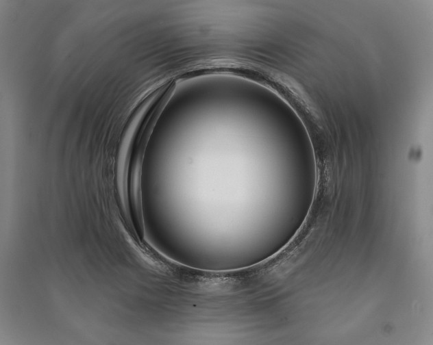 X0000091211225200708161536