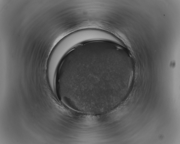 X0000091211226200708161536