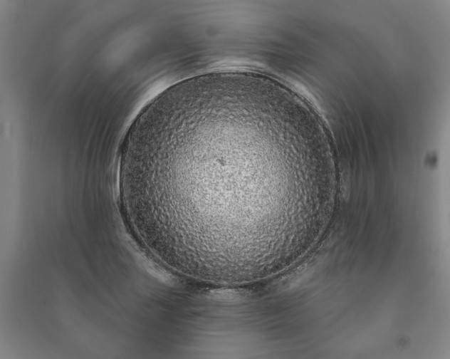 X0000091211227200708161536