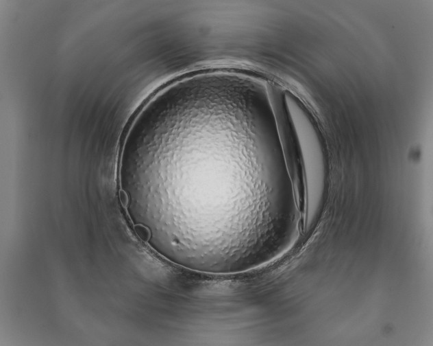 X0000091211228200708161536