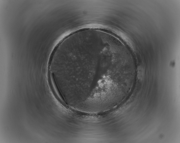 X0000091211229200708161536