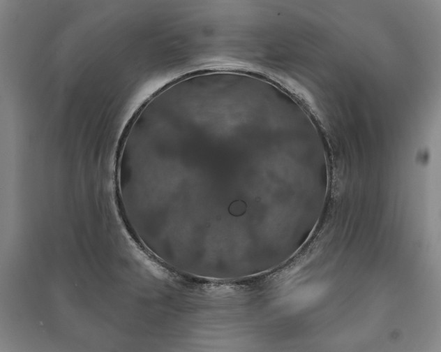 X0000091211231200708161536