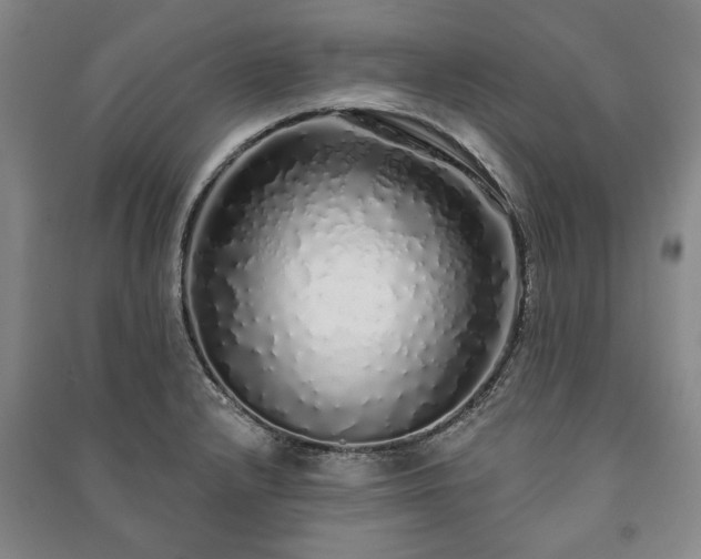 X0000091211232200708161536