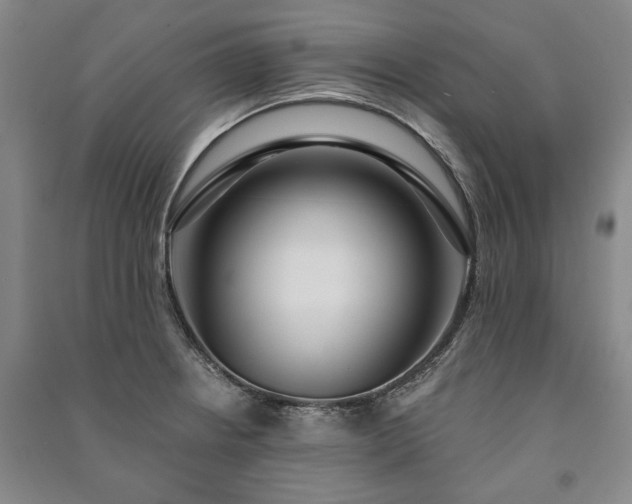 X0000091211234200708161536