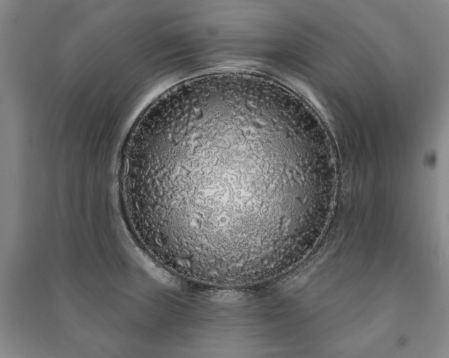 X0000091211235200708161536