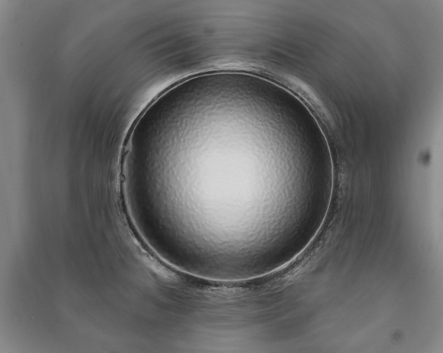 X0000091211236200708161536