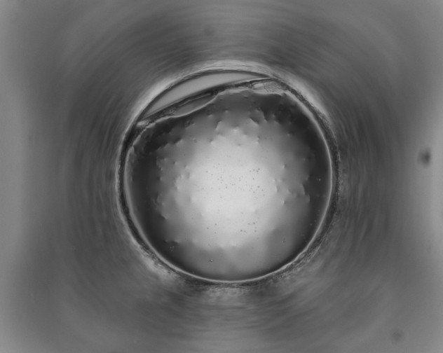 X0000091211237200708161536