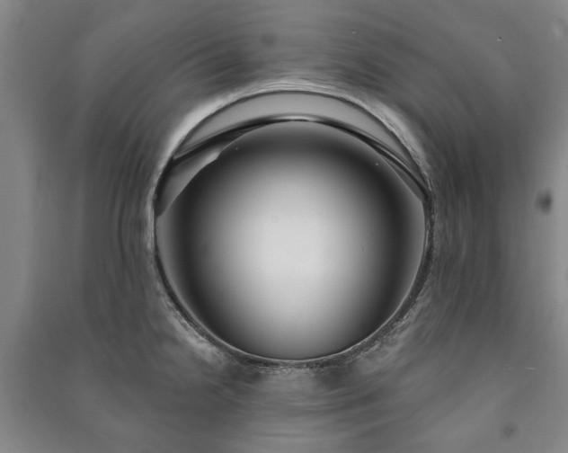 X0000091211238200708161536