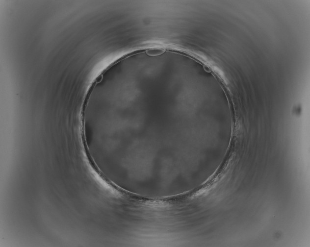 X0000091211239200708161536