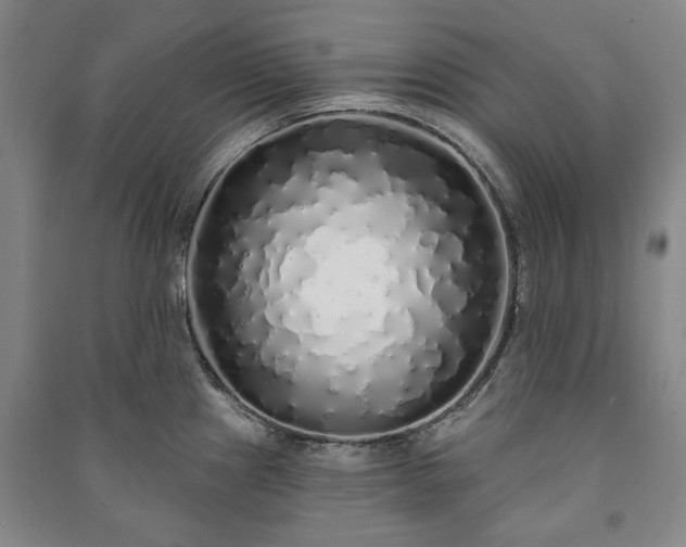 X0000091211241200708161536