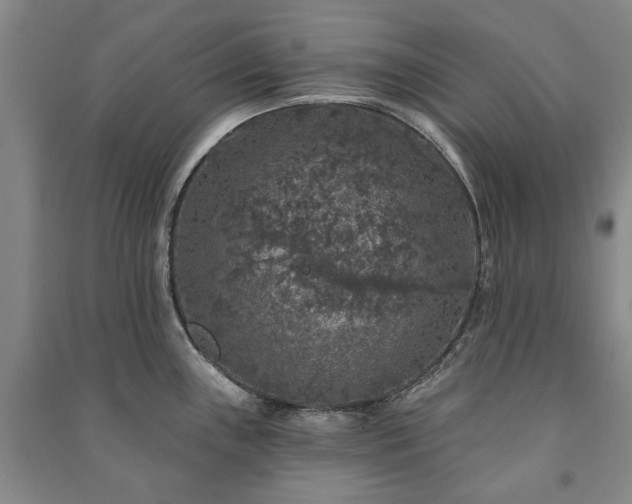 X0000091211243200708161536