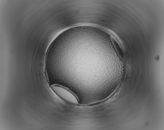 X0000091211244200708161536