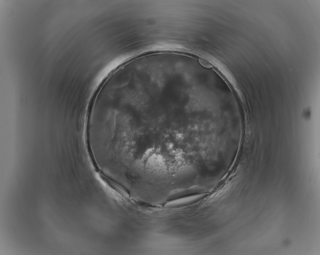X0000091211245200708161536