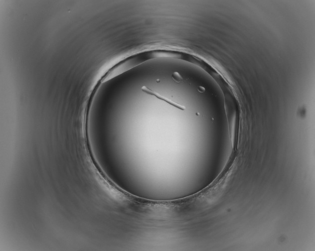X0000091211246200708161536