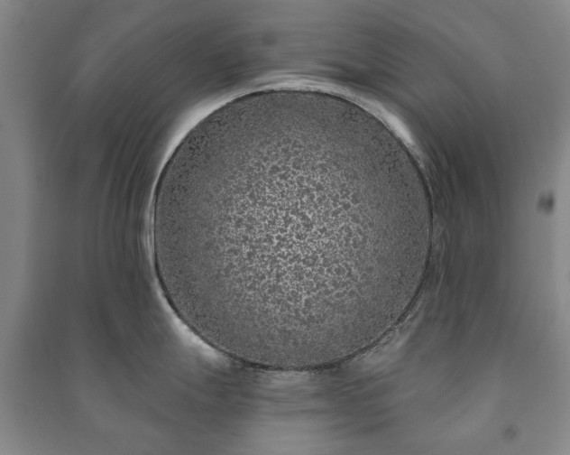 X0000091211247200708161536