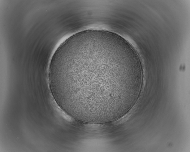 X0000091211248200708161536