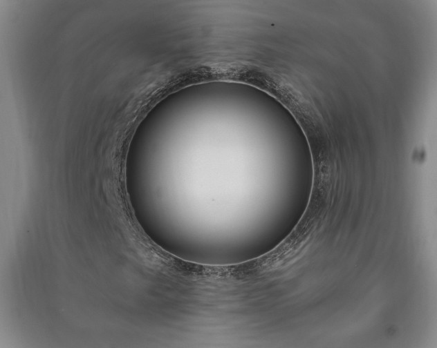 X0000091211249200708161535