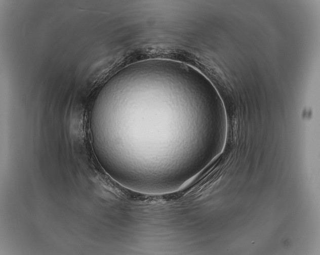 X0000091211250200708161535