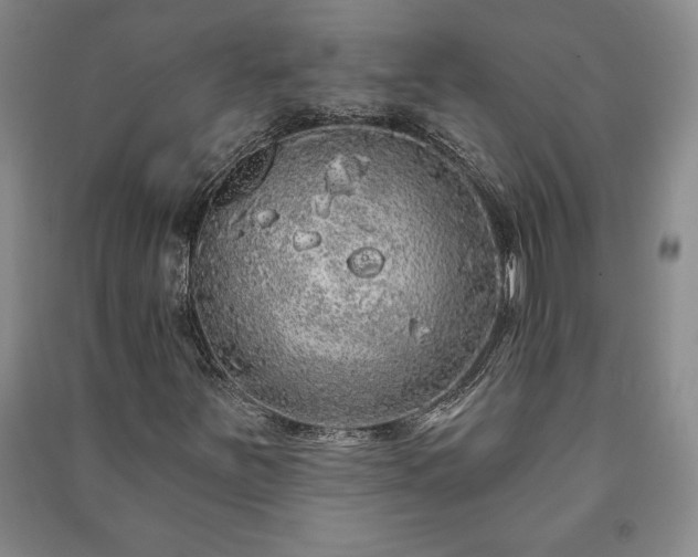 X0000091211251200708161535