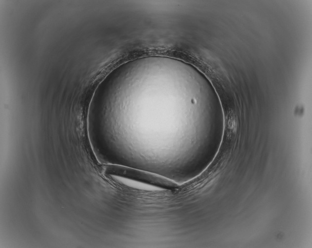 X0000091211252200708161535