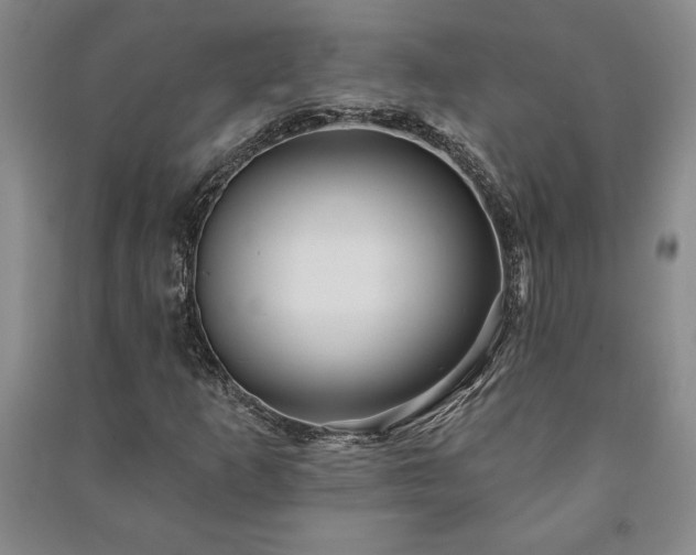 X0000091211253200708161535