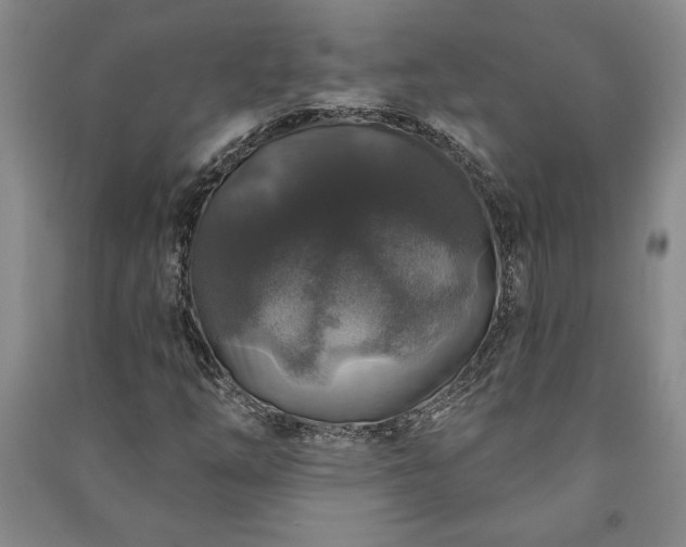 X0000091211254200708161535
