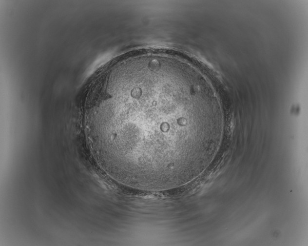X0000091211255200708161535
