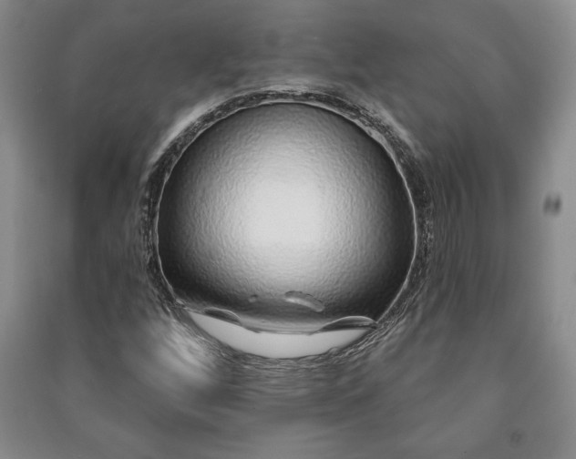 X0000091211256200708161535